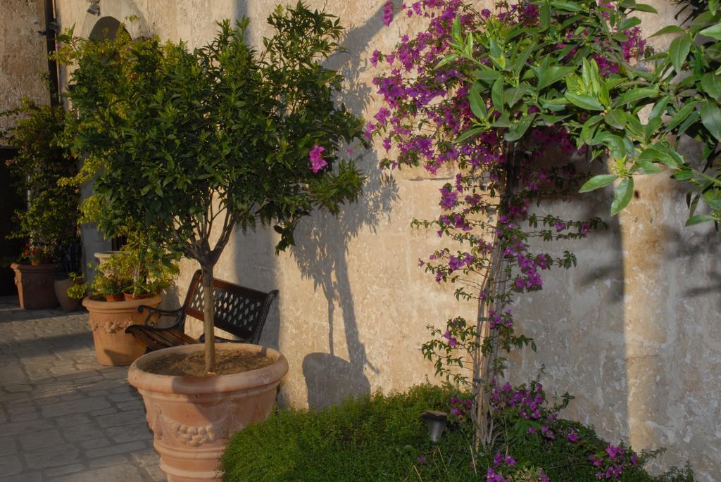 Bed and Breakfast Castello Conti Filo à Torre Santa Susanna Extérieur photo